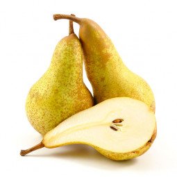 pera conferencia calibre 24