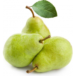 pera agua calibre 20