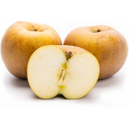 manzana reineta