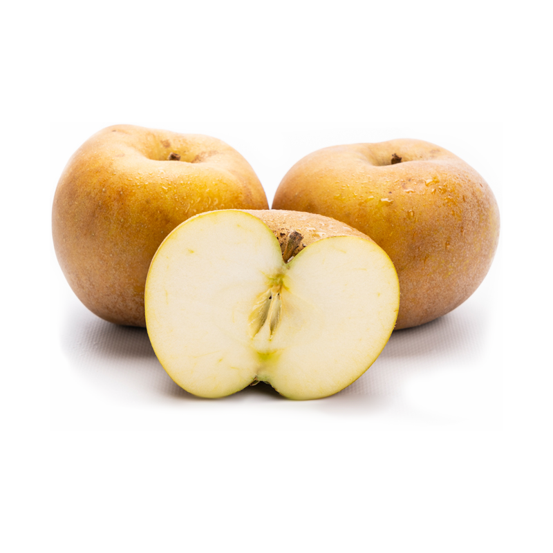 manzana reineta
