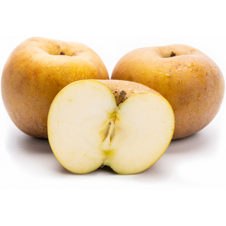 manzana reineta