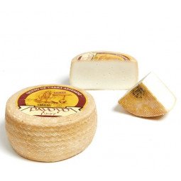 queso semicurado cabra payoyo