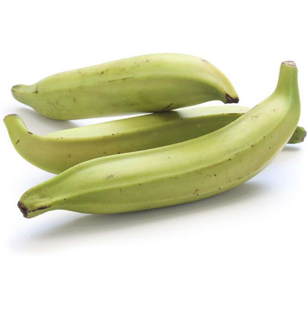 platano macho verde platano macho verde