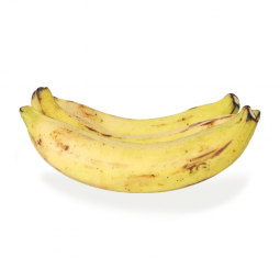 platano macho maduro amarillo