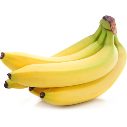 platano