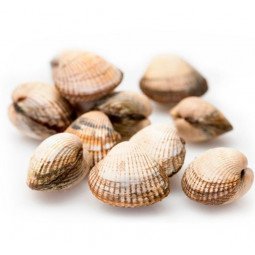 berberechos