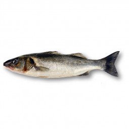 lubina 300 400 gr