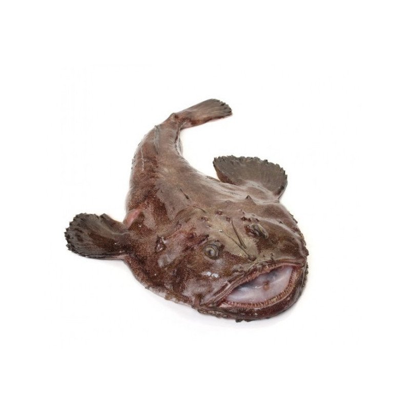 rapito