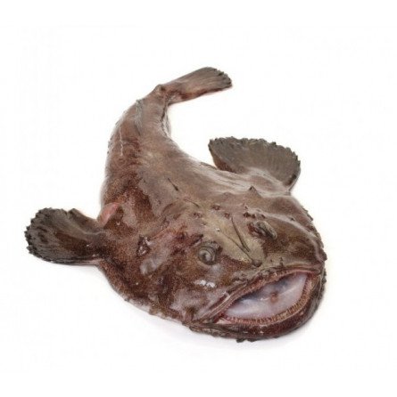 rapito