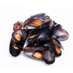 mejillon envase 1 kg