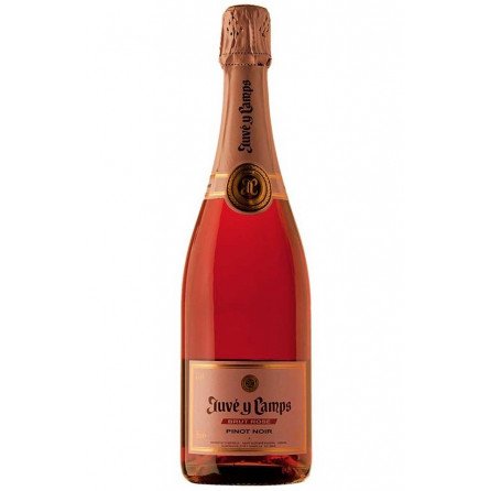cava juve & camps rosé