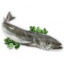 merluza gallega de pincho