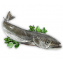 merluza gallega de pincho