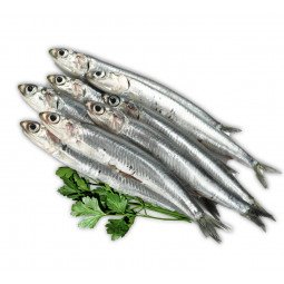 boqueron nacional frescos 1 kg