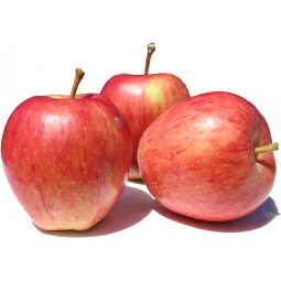 manzana royal gala