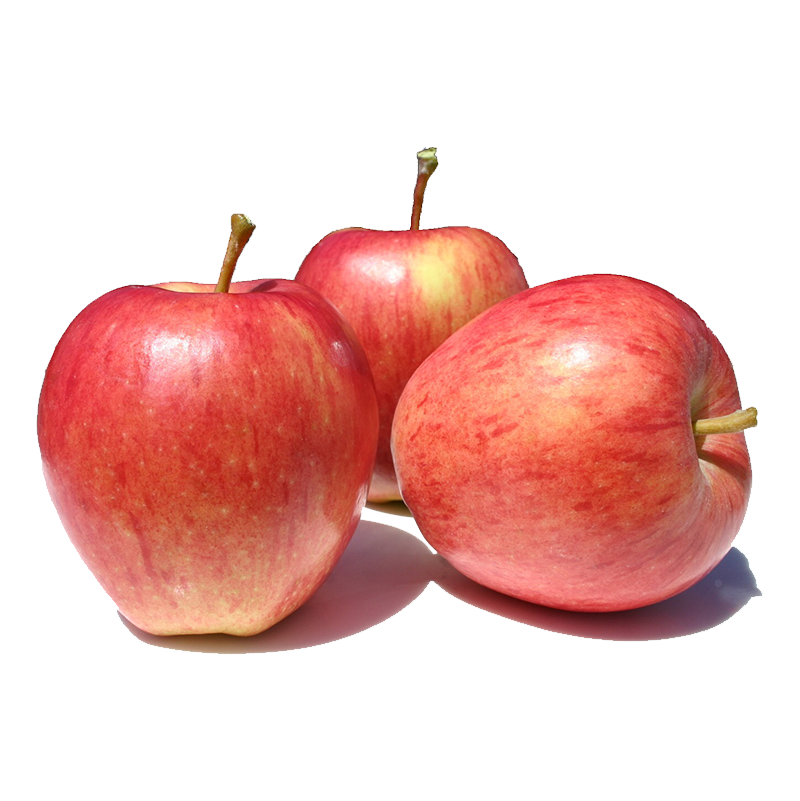 manzana royal gala