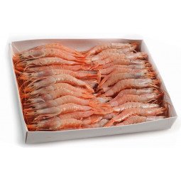 gambas congeladas caja de 1 kg 90 piezas