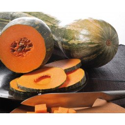 calabaza carruecano