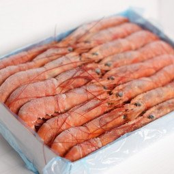 caja gamban abordo 2 kg