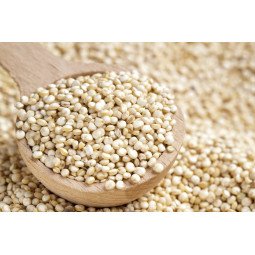Quinoa en Grano Integral Santa Rita 3 Kg