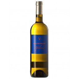 vino verdejo quinta apolonia 2018