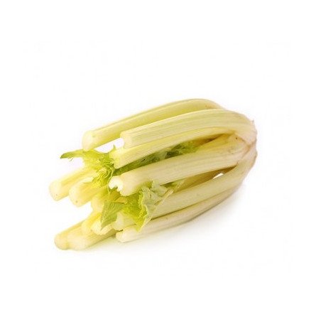 apio blanco 1 kilo