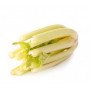 apio blanco 1 kilo