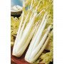 apio blanco 1 kilo
