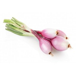 cebolletas moradas manojo de 1 kilo