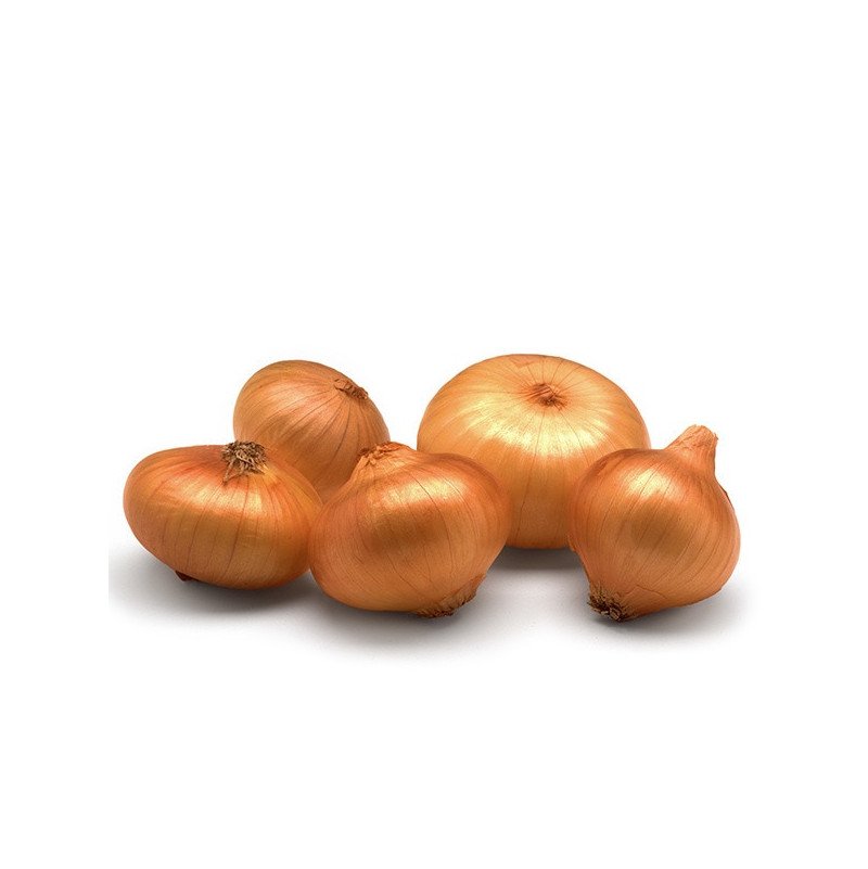 cebollitas francesas 1 kilo