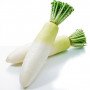 nabo daikon 1 kilo