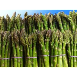 espárragos pericos 500 gramos