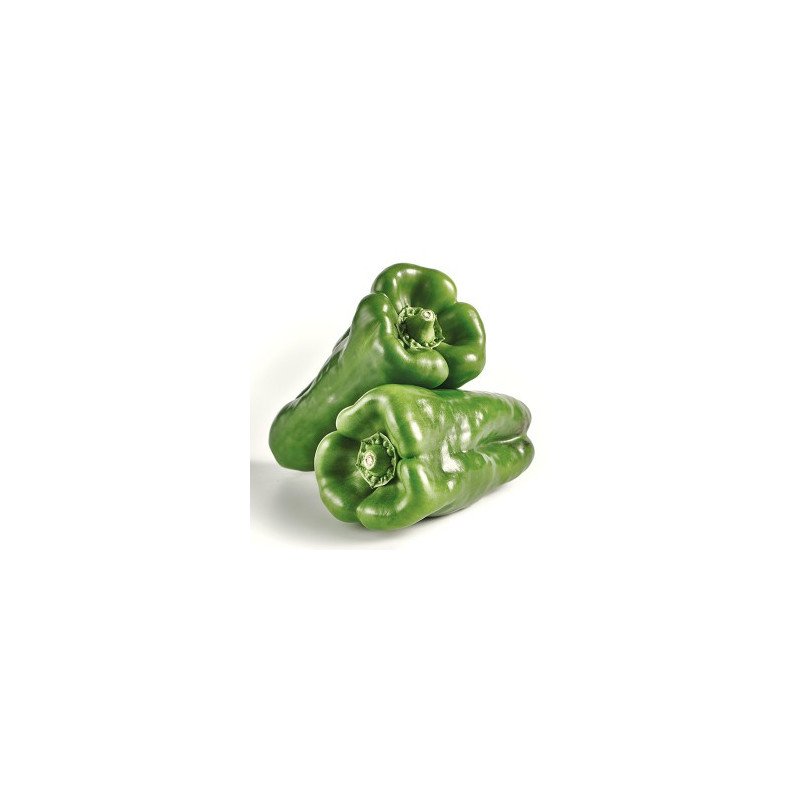 pimiento verde lamuyo