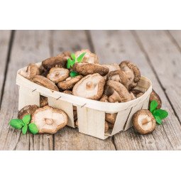 setas shiitake