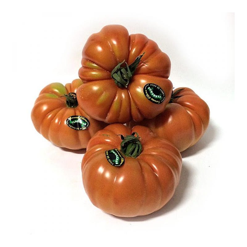 tomate rambo
