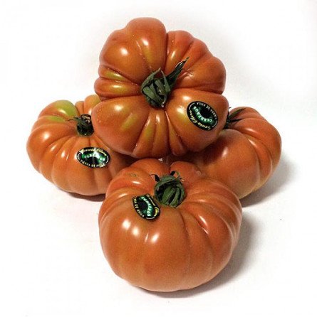 tomate rambo