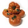 tomate rambo