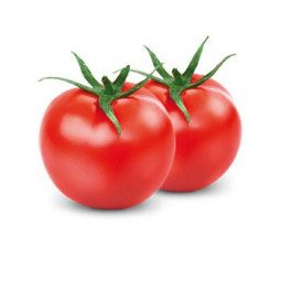 tomate maduro