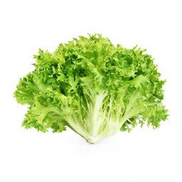 escarola limpia en bolsa