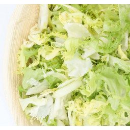 escarola limpia en bolsa