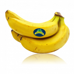 platano de canarias