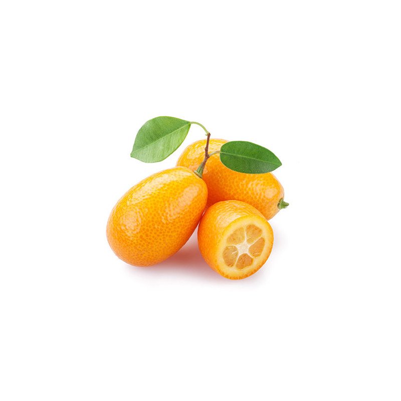 fruta kumquat