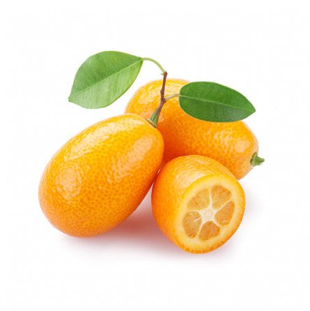 fruta kumquat fruta kumquat