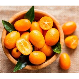 fruta kumquat
