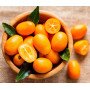 fruta kumquat