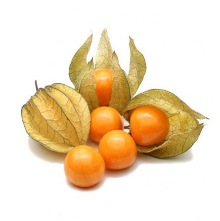 Physalis (Alquequenje) Bandeja