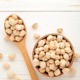 garbanzo gordo fuentesauco