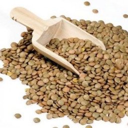 lentejas castellanas