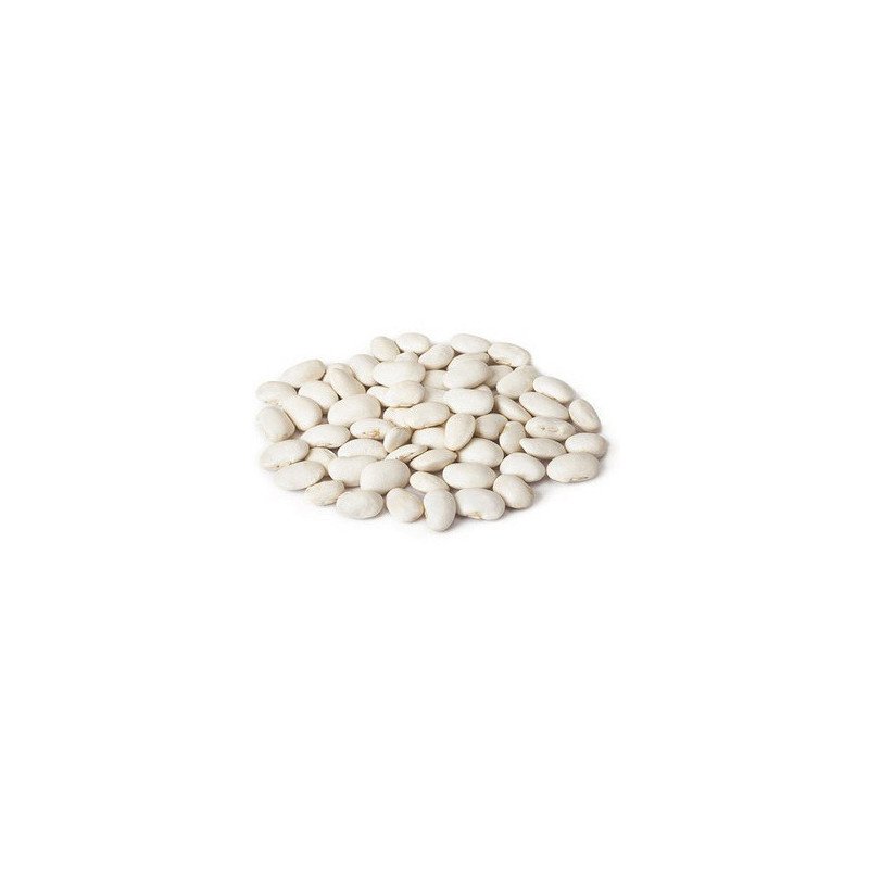 judia blanca riñon