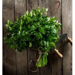 perejil manojo fresco